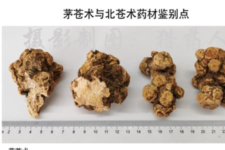 如何鉴别苍术是发霉还是出霜