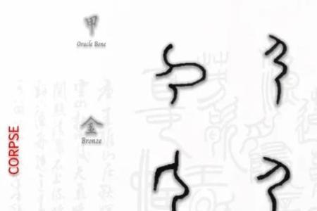 尸字几画