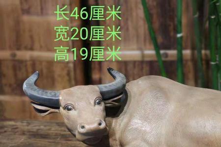 站立的牛寓意