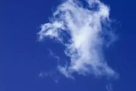 一个人对你说天好蓝是什么意思
