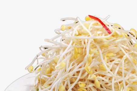 黄豆芽火锅做法大全家常