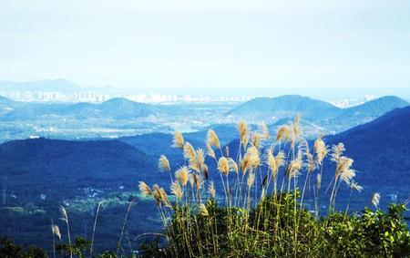 岁月静好往事随风意思