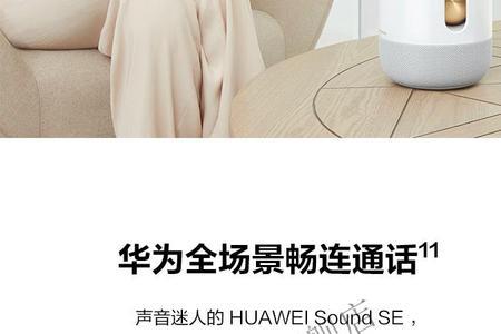 华为soundse可以接电池吗