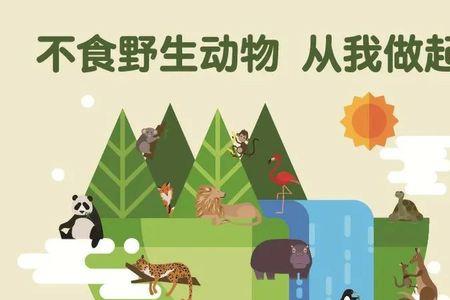 动物保护是从什么时候开始的
