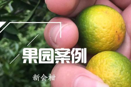 果脐什么意思