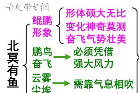 北冥有鱼其视下的视的意思
