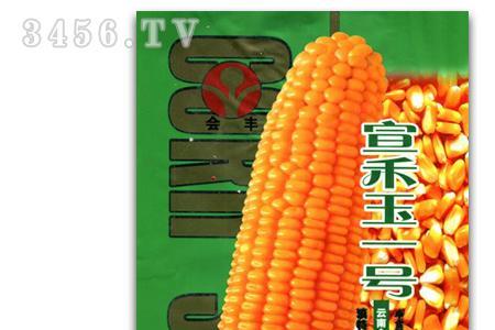 佳禾14玉米品种介绍