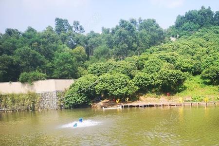 深圳骡马岭水库可以钓鱼吗