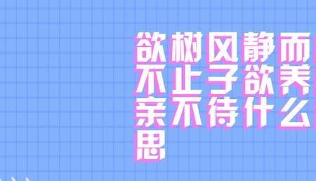 静而不动意思是什么