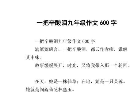 一把辛酸一把泪的意思