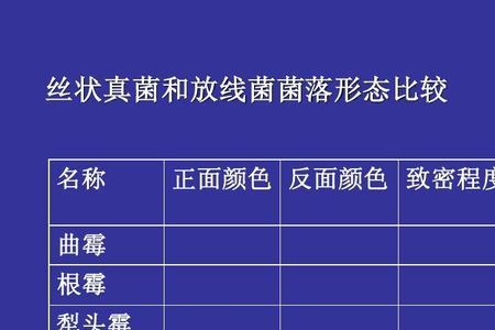 如何区别曲霉青霉根霉的培养物