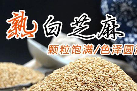 芝麻粒怎么买