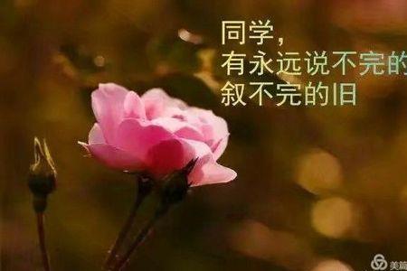 同学与同窗有什么区别