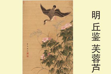 芙蓉在古代叫什么