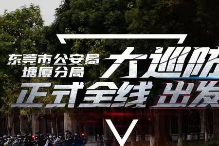 警车落户流程
