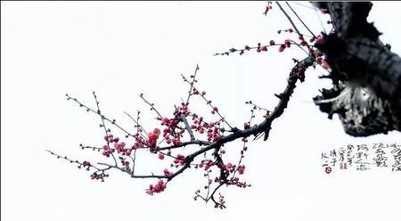春几许什么意思