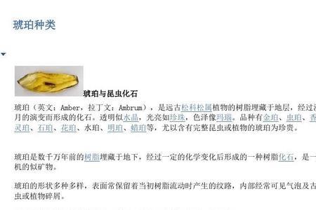 琥珀的相关资料50z字