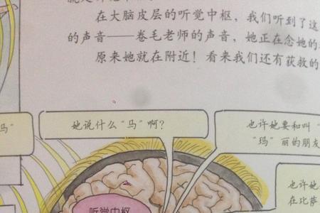 嗅觉还有什么叫法