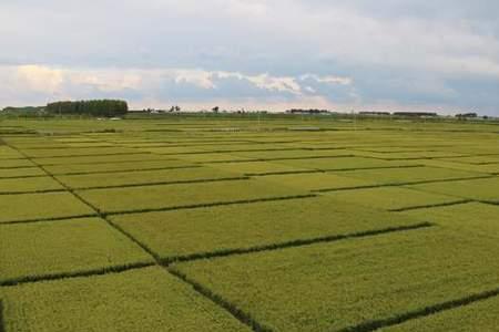 富硒地是什么意思
