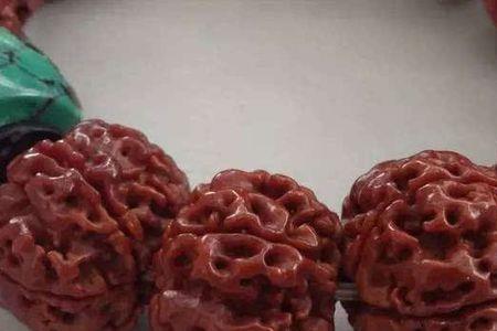金刚菩提是什么果实核