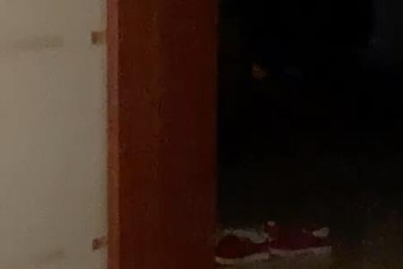 猫在门口叫预示什么