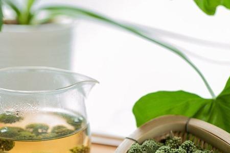 三七花有刺鼻气味吗