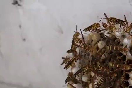 物品不小心放进丰巢里了怎么办