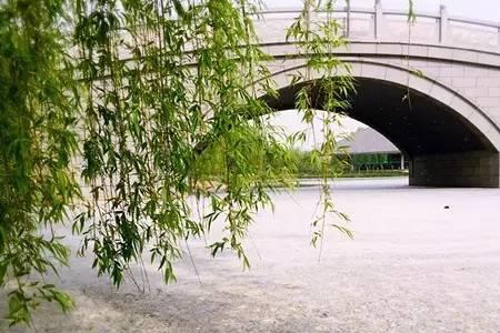灞柳风雪一般是几月份