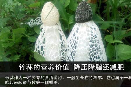 竹荪要先泡吗