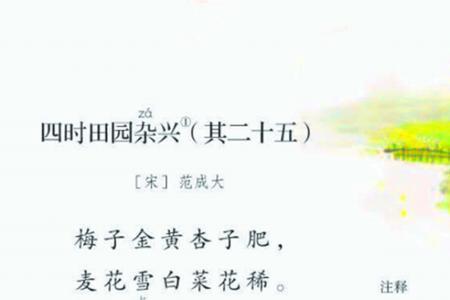 四时田园杂兴是什么题材的诗