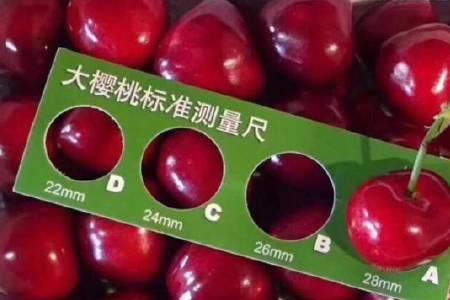 车厘子ld是什么级