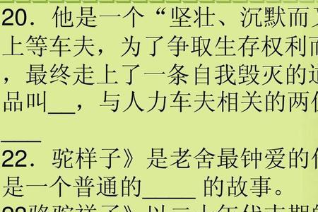 骆驼祥子第21章概括20字