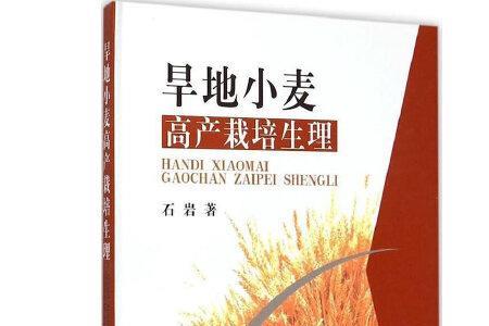 什么是旱田小麦粉