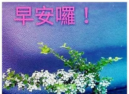 早晨祝福语最好评语