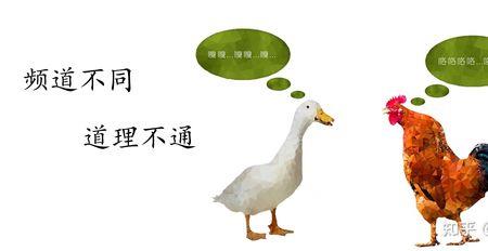 鸭的寓意吉利的成语