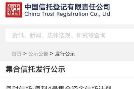 期限基本信息什么意思