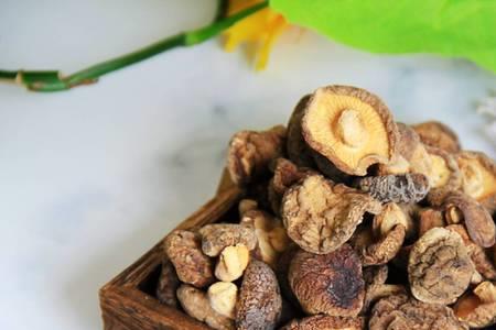 一斤干香菇泡发后得多少斤