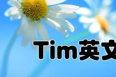 Tim中文名是什么