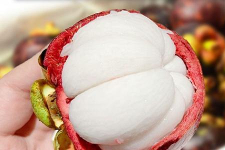 油竹和麻竹哪个好吃