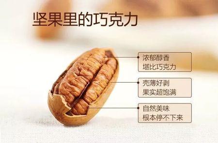 松鼠怎么吃坚果
