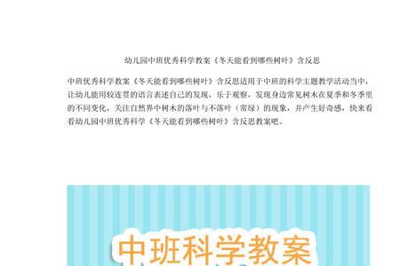 中班科学怎样保存树叶