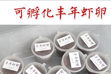 为什么鱼苗不能吃丰年虾壳