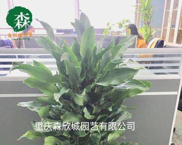 1米10厘螺纹铁有多少斤