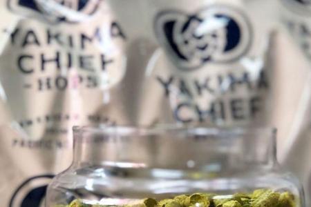 萨滋啤酒花和卡斯拉特酒花区别