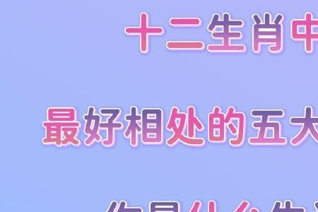 窥是什么生肖