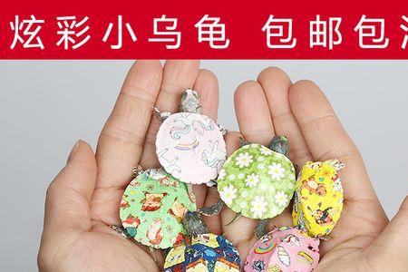 彩色小乌龟能活多久