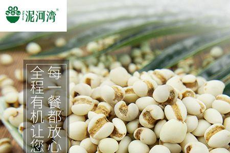 薏米怎么拼
