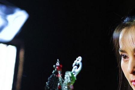 芙蓉诀木芙蓉最后和谁在一起了