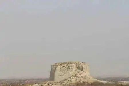 什么是断梁胡