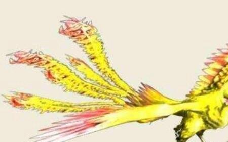 古代财鸟是什么